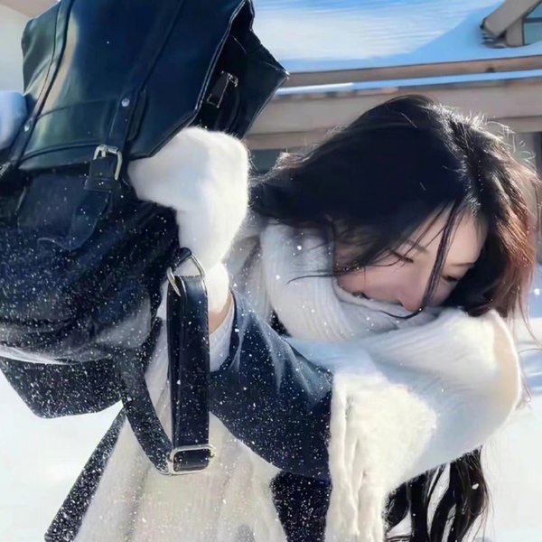 红顶商人:胡雪岩
